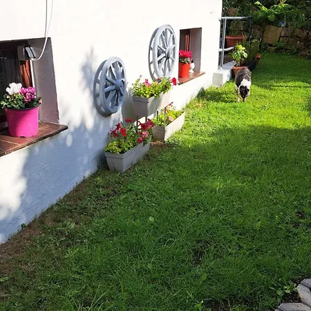 Ferienwohnung Friedrichsruh Braunlage Exterior foto