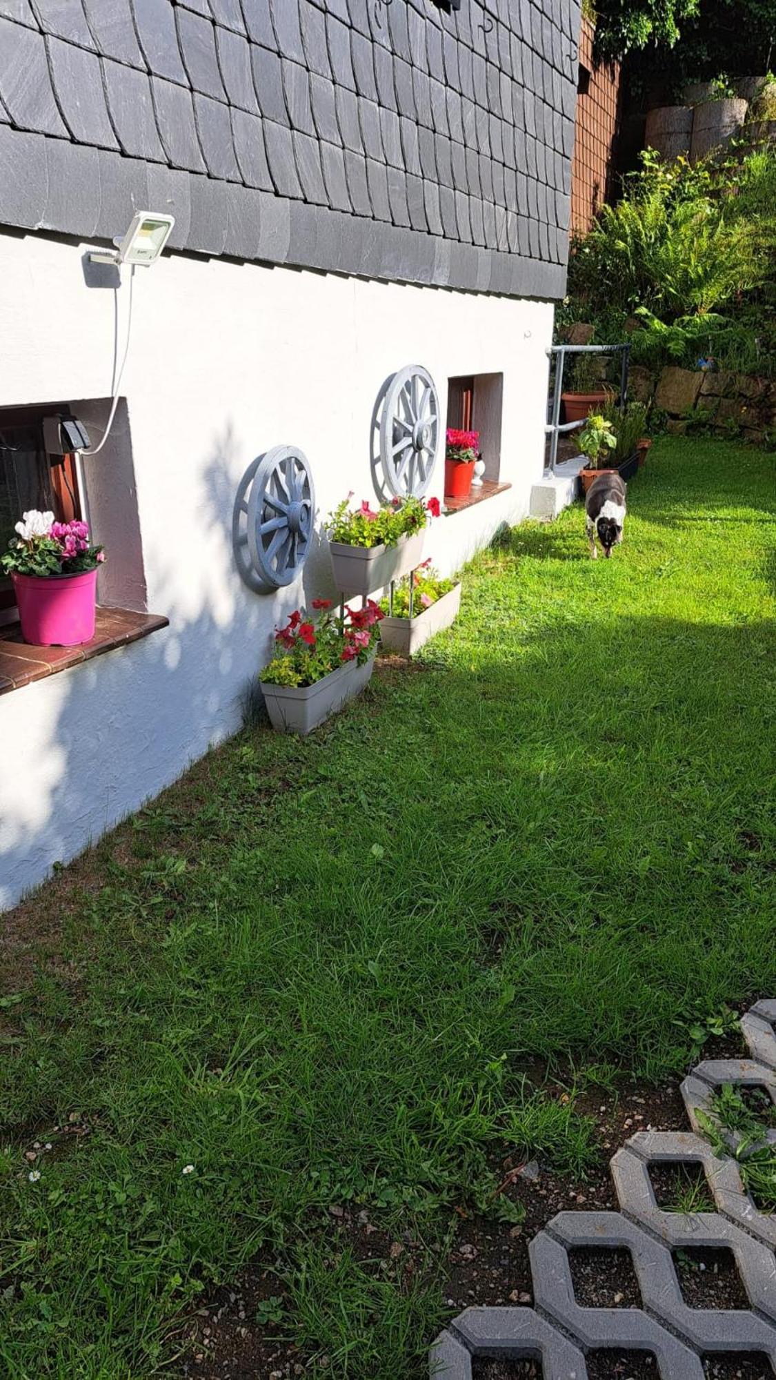 Apartment Friedrichsruh
